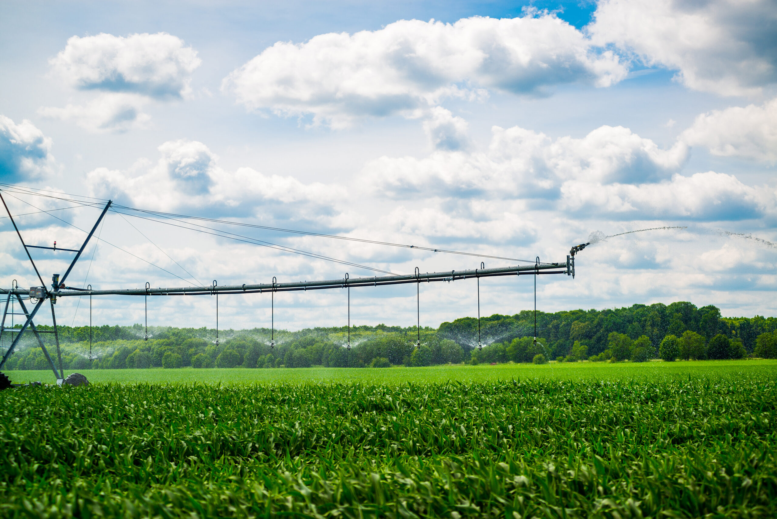 Three agri-food tech start-ups with breakthrough technology